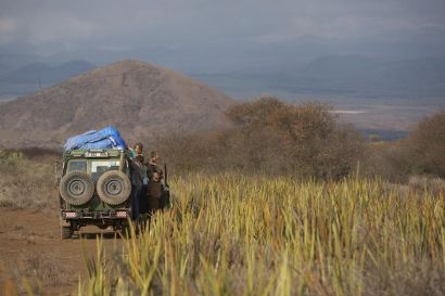 Pause dans le Serengeti