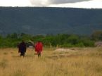 Masais en la sabana