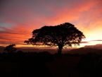 Puesta del sol en el Parque Nacional del Serengeti