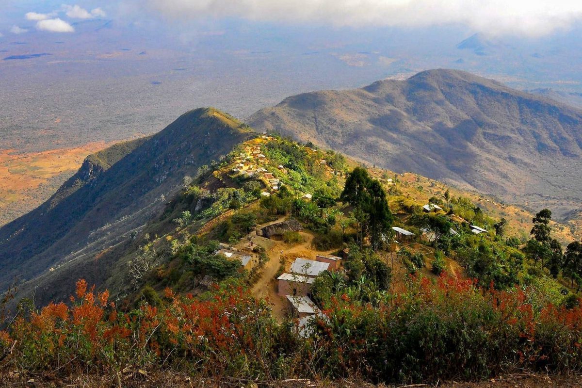 77d0ef2f-308f-4bbf-beab-e91f2d8db1e5