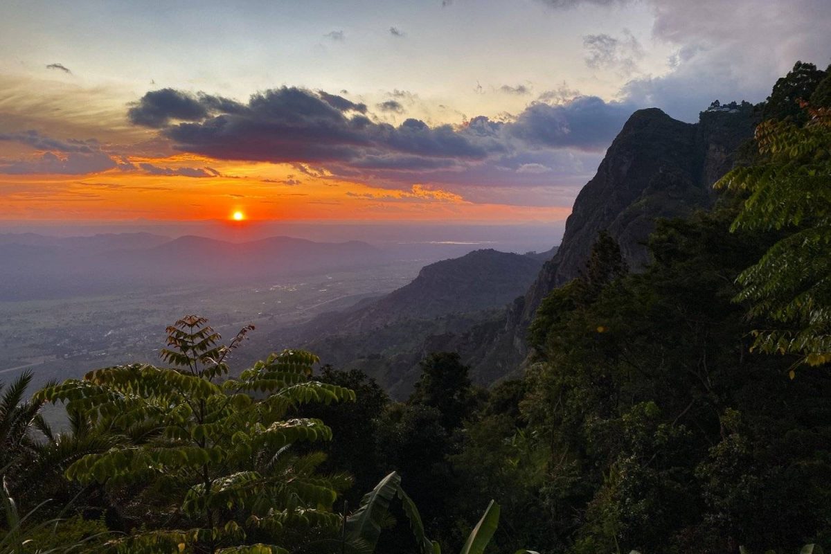 aab73077-5ea0-412c-83c9-1371dfb27d98